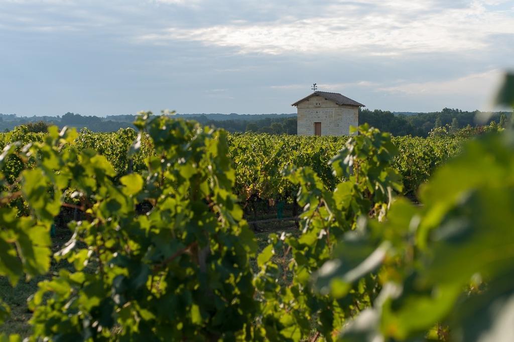 Les Raisins Du Bonheur Bed & Breakfast Puisseguin Bagian luar foto