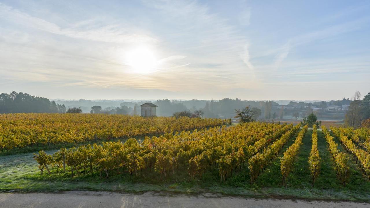 Les Raisins Du Bonheur Bed & Breakfast Puisseguin Bagian luar foto