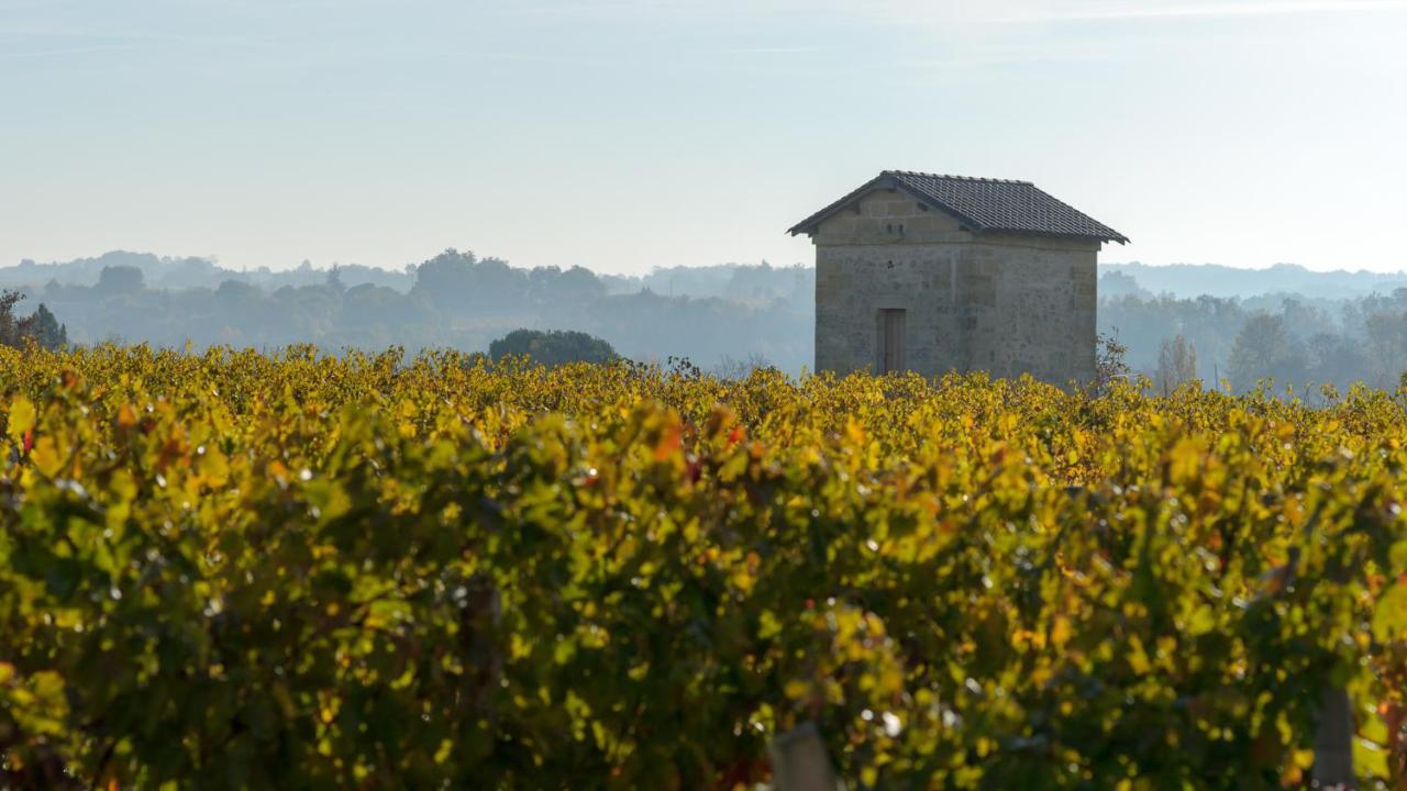 Les Raisins Du Bonheur Bed & Breakfast Puisseguin Bagian luar foto